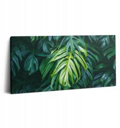 Wallfluent Vászonkép Canvas Otthon Modern Trópusi Természet Levelek Monstery (010030010010000074607)
