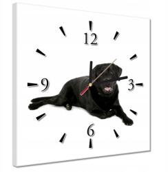 ZeSmakiem Órák 30x30 Fekete labrador Kutya (H10245Z_Z1AI_30x30cm AZ)