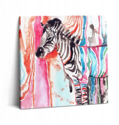 Wallfluent Fotó Kép Kész Összeszerelésre Kész Az Irodába Illusztráció Színes Állat Zebra (010030010270000006095)
