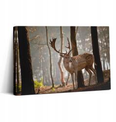 Wallfluent Vászonkép Canvas Művészi Edzőterem Szarvas Ragyogás Kelet 30x20 cm (010030010150000074749)