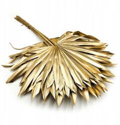 Enchanted Pálma, legyező (Palm Sun) Arany (PALM SUN ZLOTY)