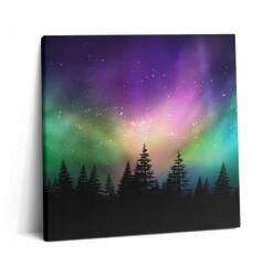 Wallfluent Fotó-Vászonkép Canvas Ajándék Ötlet Étkezőbe Északi fény 60x60 (010030010270000075249)