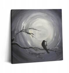 Wallfluent Fotó Vászonkép Canvas Lakberendezés Edzőterem Holló a holdfényben 60x60 (010030010270000033690)