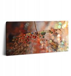 Wallfluent Vászon Falikép Hobbi Irodába Pitypang és Rosa 100x50 cm (010030010010000074516)