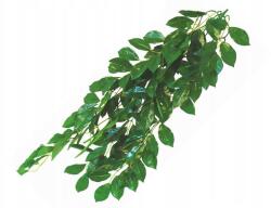 Happet Ficus műnövény fikusz 70 cm Happet (5907708633057)