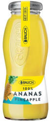 Rauch Ananászlé, 100%, szénsavmentes, 0, 2 l, RAUCH "Prémium (1239K) - iroszer24