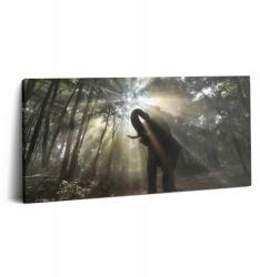 Wallfluent Vászonkép Ajándék ötlet Konyha Elefánt a dzsungelben 100x50 cm (010030010010000075143)