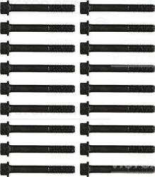 Victor Reinz Sada skrutiek hlavy valcov VICTOR REINZ 14-32141-01 (14-32141-01)