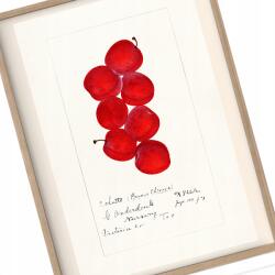  Poszter a konyhába Vintage Szilva kép A3