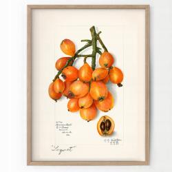  Konyhai poszter Japán Vintage A3 (O5 Plakat do Kuchni Vintage A3)