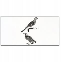 Coloray Vászonkép keretben Állatok Madarak 100x50 (010030010010000018110)