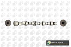 BGA Vačkový hriadeľ BGA CS9739 (CS9739)