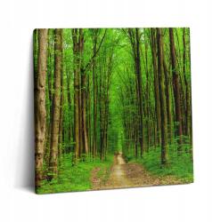 Wallfluent Vászonkép Felakasztható Hálószobába Erdei út a fák között (010030010270000276793)