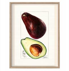  Kép a konyhába Vintage poszter Avocado Retro A3 (Plakat Dekoracja do Kuchni Vintage)