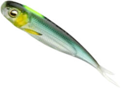 Raid Shad Raid Roller Fish Skin, 8.9cm, Hustler, 7buc/plic (RAID13598)