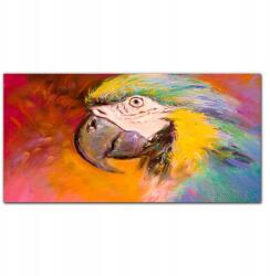 Coloray Vászon falikép Állat papagáj 100x50 cm (010030010010000018767)