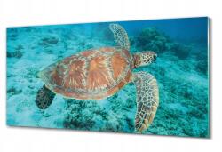 ArtprintCave Üveg falikép Teknős az óceán fenekén 100x50 (010010010010100038453)