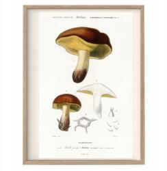  Vintage Gabonavaj poszter Lengyel Gomba A3 (R4 Plakat Vintage do kuchni A3)