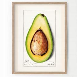  Vintage konyha poszter Avocado Retro A3 (O3 Plakat do Kuchni Vintage A3)