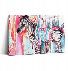 Wallfluent Vászonkép Canvas Edzőterem Művészi Illusztráció Színes Állat Zebra 30x20 (010030010150000006095)