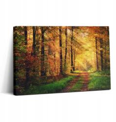 Wallfluent Fotó Vászonkép Canvas Nappaliba Fa Keret Őszi Erdei Tájkép 30x20 cm (010030010150000075090)