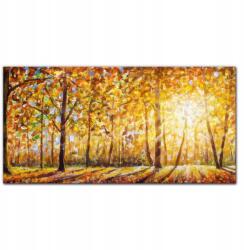Coloray Modern vászonkép Őszi erdő 100x50 cm (010030010010000017250)