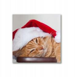 Tulup Vászonkép 40x40 Macska Mikulás sapka Karácsony (ock-40x40-382960495)