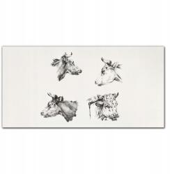 Coloray Vászonkép kereten Állatok tehenek 100x50 (010030010010000018042)