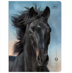 Interdruk Iskolai Füzet A5 Háromsoros Színes 16 Lap Ló Lovak (5902277366450)