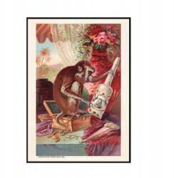  Viktoriánus poszter Kölnvíz Florida Majom A3 (Plakat Podróżniczy Podróże Vintage)