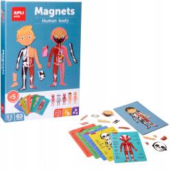 Apli Kids Mágneses kirakó gyerekeknek Apli Kids Az ember teste (8410782185314)