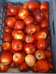 Rohoznicei farm Jonaprince alma Cz 1 kg