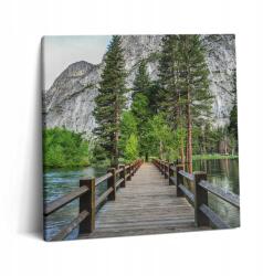 Wallfluent Vászonkép Canvas Tartós Fali Nappali Fa Híd Yosemite (010030010270000075690)