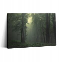 Wallfluent Fotó Vászonkép Ajándék Ötlet Edzőterem Ködös Erdő Reggel (010030010150000074718)