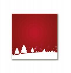 Tulup Canvas fotó 40x40 Karácsonyfa Hópelyhek (ock-40x40-301994250)