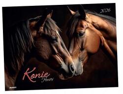 Avanti 2026 Fali Album Naptár 28, 5X20CM Lovak (KA-10)