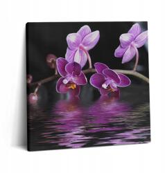 Wallfluent Fotó Vászonkép Canvas Inspiráló Nappali Rózsaszín Orchidea Virág A Vízen (010030010270000075099)