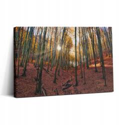 Wallfluent Vászonkép Canvas Edzőterem Stílusos Ajándék Naplemente és Fák (010030010150000075730)