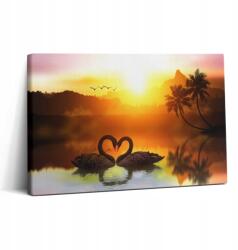 Wallfluent Vászonkép Canvas Tartós Fali Nappaliba Gyönyörű Hattyú Tó 30x20 (010030010150000075171)