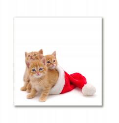 Tulup Vászonkép 50x50 Macskák Mikulás (ock-50x50-292862041)