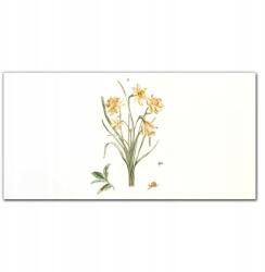 Coloray Vászon falikép Növények virágai 100x50 cm (010030010010000018249)