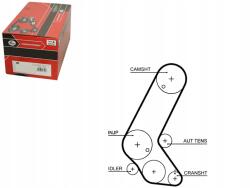 Gates 5595XS Meghajtószíj