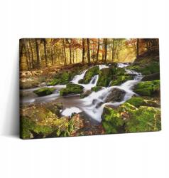 Wallfluent Prémium fotótapéta Konyha Patak az Őszi Erdőben 30x20 cm (010030010150000074964)