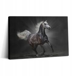 Wallfluent Fotótapéta Étkezőszobába Falra Galoppozó Ló 30x20 cm (010030010150000074985)