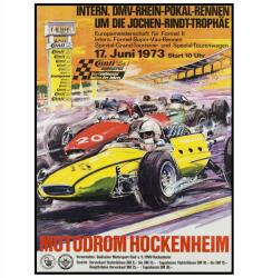  Szoba poszter Forma 1 Grand Prix 1973 A3 (Plakat Samochody Auta Wyścigi)