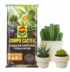 COMPO Föld Kaktuszok és Pozsgások táptalaja kvarchomokkal 5L Compo (100P)