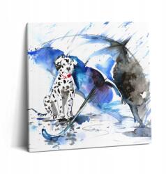 Wallfluent Vászonkép A dolgozószobába Nyomtatott Akvarell Dalmata Esernyő Alatt (010030010270000074858)