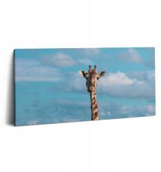 Wallfluent Kép Belső dekoráció az előszobába Zsiráf fej az ég hátterében (010030010010000075345)