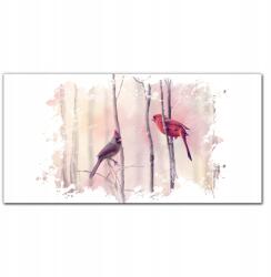 Coloray Vászonkép keretben Állatok Madarak 100x50 (010030010010000018836)