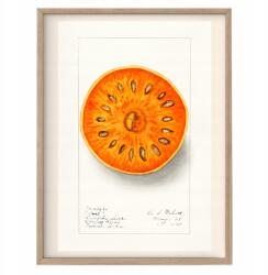  Vintage konyhai poszter Ízesített Ragasztók A3 (O11 Plakat do Kuchni Vintage A3)